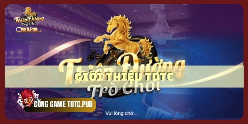 Giới thiệu TDTC